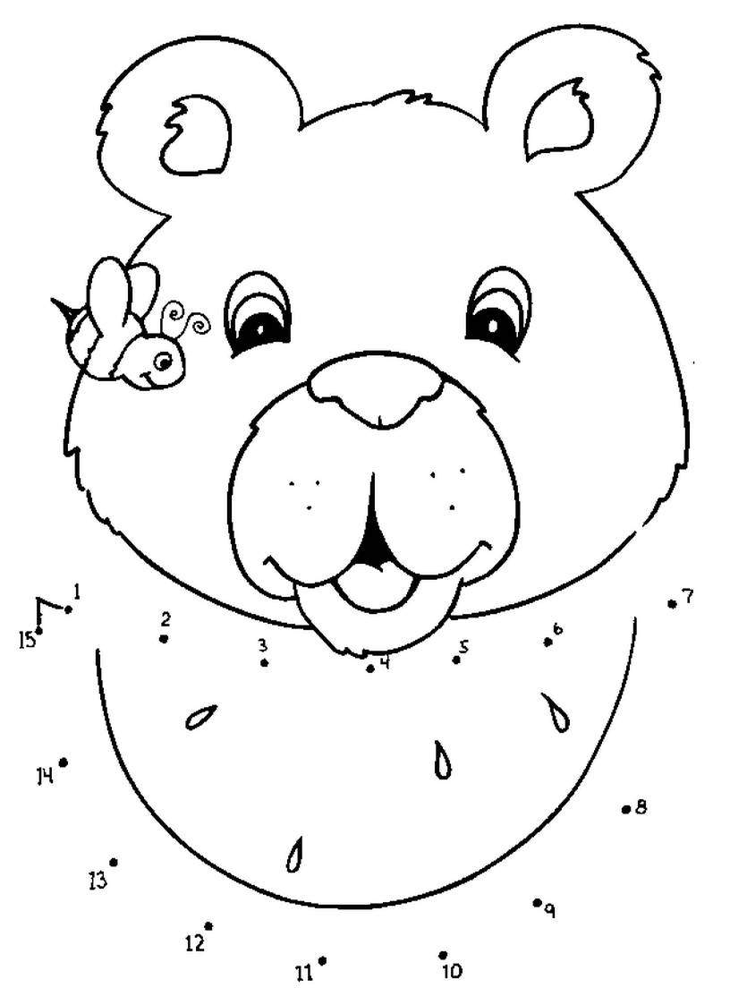 Point à relier ours