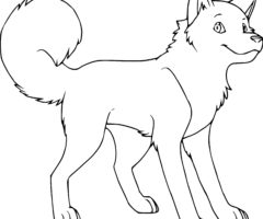 Coloriage chien Husky
